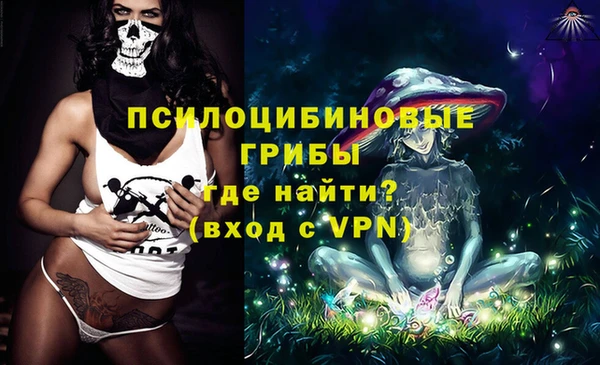 сатива Кинешма