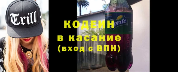 сатива Кинешма