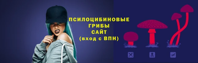 спайс Киренск