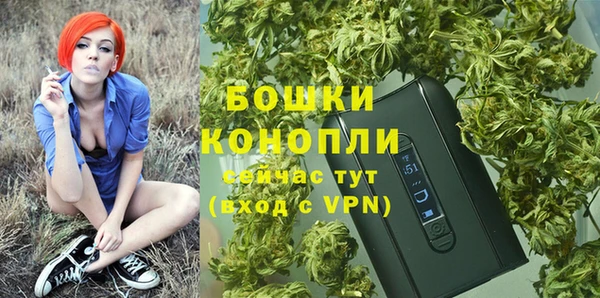 сатива Кинешма