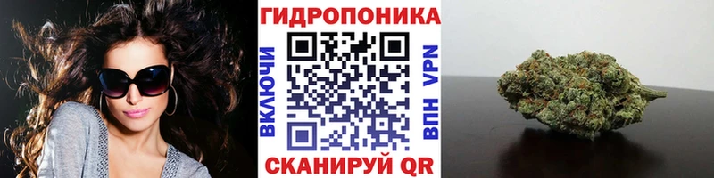 Купить закладки  Городец  Конопля AK-47 